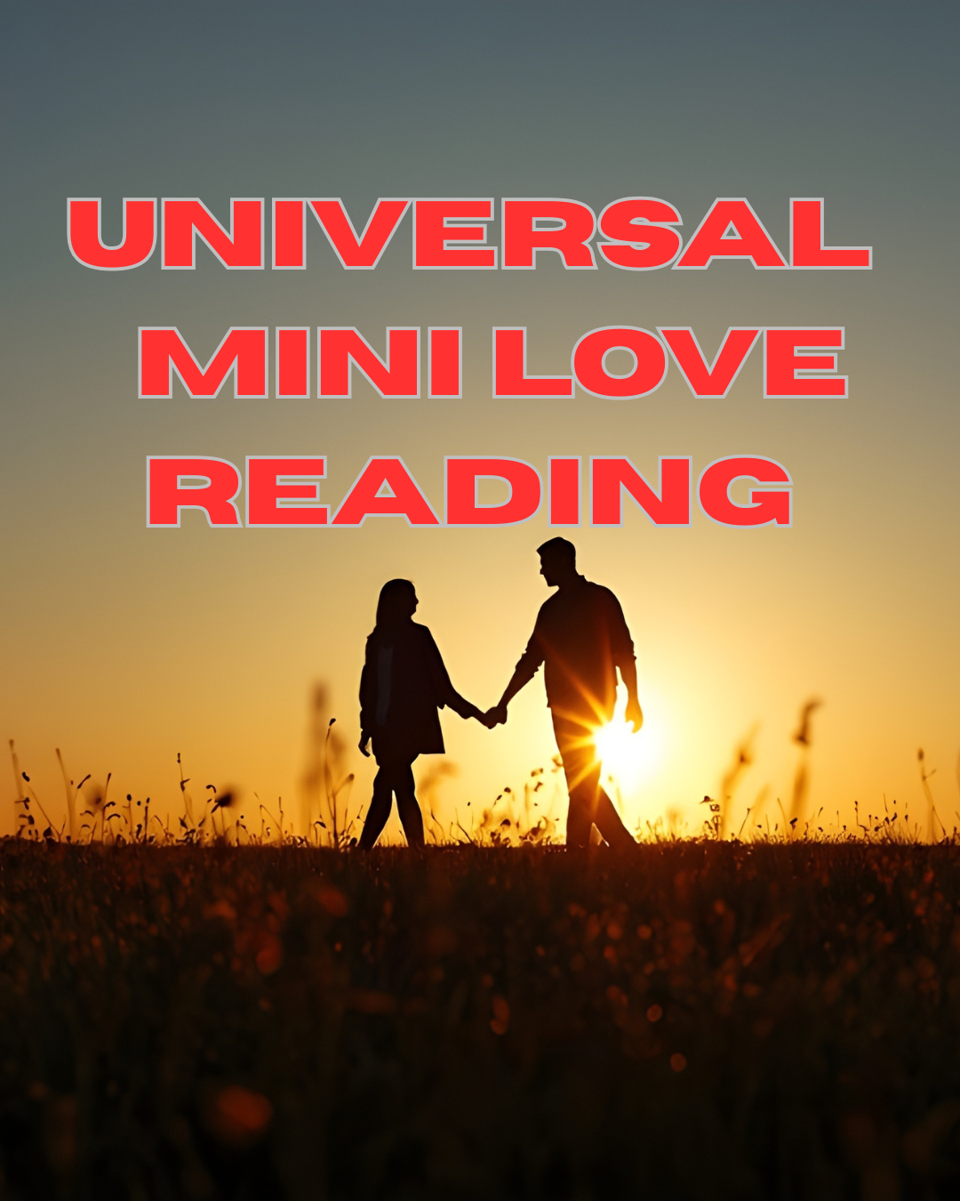 Lectura Universal de Mini Amor